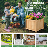 NNECW Folding Square Fir Wood Raised Garden Bed for Vegetables Flowers Herbs