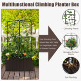 NNECW Raised Garden Bed with Trellis for Climbing Plants/ Basket Plants