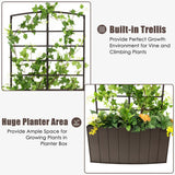 NNECW Raised Garden Bed with Trellis for Climbing Plants/ Basket Plants