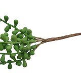 NNEDSZ Succulent String of Pearl Beads 75cm