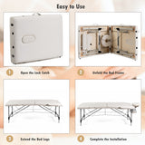 NNECW 2 Fold Portable Massage Bed with Carrying Bag for Home