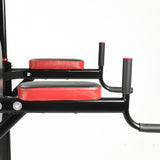 NNEDPE Powertrain Multi Station Pull-up Chin-Up Tower with Exercise Bench
