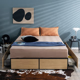 NNECW Queen/Double Size Metal Bed Frame with 4 Drawers for Headboard-Queen