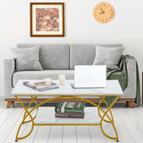 NNECW 100CM 2-Tier Coffee Table with Faux Mable Top & Steel Legs