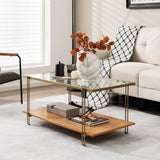 NNECW 2 Tier Rectangular Coffee Table with Gold Steel Frame and Storage Shelf for Living Room