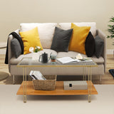 NNECW 2 Tier Rectangular Coffee Table with Gold Steel Frame and Storage Shelf for Living Room