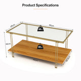 NNECW 2 Tier Rectangular Coffee Table with Gold Steel Frame and Storage Shelf for Living Room