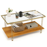 NNECW 2 Tier Rectangular Coffee Table with Gold Steel Frame and Storage Shelf for Living Room
