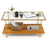 NNECW 2 Tier Rectangular Coffee Table with Gold Steel Frame and Storage Shelf for Living Room