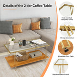 NNECW 2 Tier Rectangular Coffee Table with Gold Steel Frame and Storage Shelf for Living Room