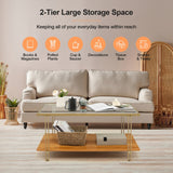 NNECW 2 Tier Rectangular Coffee Table with Gold Steel Frame and Storage Shelf for Living Room
