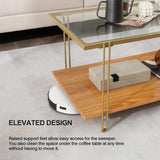 NNECW 2 Tier Rectangular Coffee Table with Gold Steel Frame and Storage Shelf for Living Room
