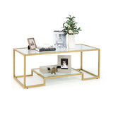 NNECW Modern 2-Tier Coffee Table with Golden Metal Frame for Living Room