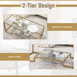 NNECW Modern 2-Tier Coffee Table with Golden Metal Frame for Living Room
