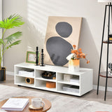 NNECW 45.5 Inches TV Stand with 3 Storage Cabinet & 5 Height Adjustable Shelves