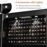 NNECW Lockable LED Mirror Jewelry Cabinet with Full Screen Mirror for Bedroom-Black