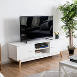 NNECW Modern Wooden TV Stand with Double Door and 2 Storage Shelves for TVs up to 60 Inches