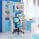 NNECW Ergonomic Low-Back Office Chair with Adjustable Height & Lumbar Support Green