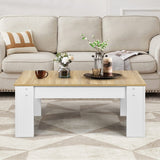 NNECW Lift Top Coffee Tabl with Hidden Storage Compartment for Living Room