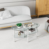 NNECW Tempered Glass Coffee Table with Open Storage Shelf-Clear