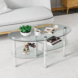 NNECW Tempered Glass Coffee Table with Open Storage Shelf-Clear