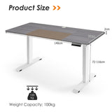 NNECW Electric Motorised Standing Desk Computer Desk with Adjustable Height for Home/Office-Grey