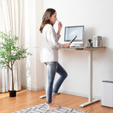 NNECW Electric Height Adjustable Standing Desk for Home & Office