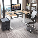 NNECW Electric Height Adjustable Standing Desk for Home & Office