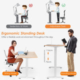 NNECW Electric Height Adjustable Standing Desk for Home & Office