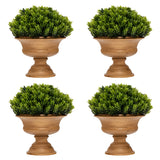 NNECW 4-Set Artificial Mini Greenery Potted Plant for Home &amp Office-Round shape