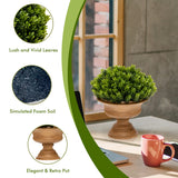 NNECW 4-Set Artificial Mini Greenery Potted Plant for Home &amp Office-Round shape