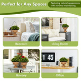 NNECW 4-Set Artificial Mini Greenery Potted Plant for Home &amp Office-Round shape