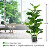 NNECW  2-Pack Artificial Fiddle Leaf Fig Tree with 100/40/32 Leaves for Home Office-140 cm