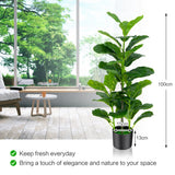 NNECW  2-Pack Artificial Fiddle Leaf Fig Tree with 100/40/32 Leaves for Home Office-100 cm