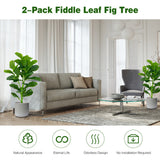 NNECW  2-Pack Artificial Fiddle Leaf Fig Tree with 100/40/32 Leaves for Home Office-90 cm