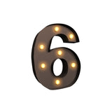 NNEIDS LED Metal Number Lights Free Standing Hanging Marquee Event Party D?cor Number 6