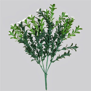 NNEDSZ Flowering Boxwood Stem 30cm