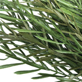 NNEDSZ Tea Tree Stem UV Resistant 45cm