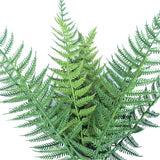 NNEDSZ Fern Stem UV Resistant 38cm