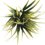 NNEDSZ Tipped Grass Stem UV Resistant 35cm