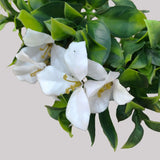 NNEDSZ Flowering Jasmine Stem UV Resistant 30cm