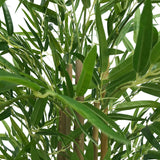NNEDSZ Bamboo Trunk (Real Touch Leaves) 180cm