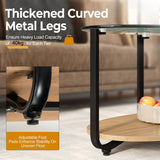 NNECW 2-Tier Modern Oval Coffee Table with Tempered Glass Tabletop for Home Office