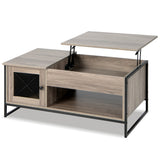 NNECW Multifunctional Accent Coffee Table with Lifting for Living Room