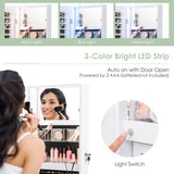 NNECW Lockable Mirror Jewelry Cabinet with 3-Colour LED Light-White