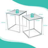 NNECW  Set of 2 Nesting Glass Coffee Table with Tempered Glass Top for Living Room