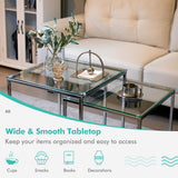 NNECW  Set of 2 Nesting Glass Coffee Table with Tempered Glass Top for Living Room