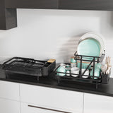 NNECW 2-Tier Metal Dish Drainer with Utensil Holder and Removable Drip Tray for Kitchen