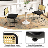 NNECW 2 Pieces Mid-Century Modern Dining Chair with Cane Back & Cantilever Design