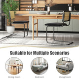 NNECW 2 Pieces Mid-Century Modern Dining Chair with Cane Back & Cantilever Design